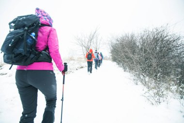 Bir grup yürüyüşçü kış günü yürüyüş yolunda yürüyor..