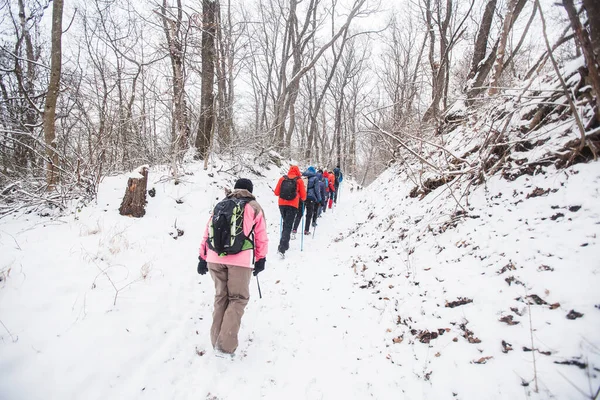 Grupo Caminhantes Caminhando Trilha Caminhada Dia Inverno Neve — Fotografia de Stock