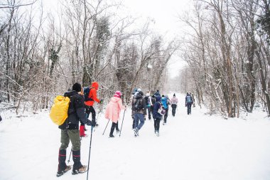 Karlı yolda yürüyüş yapan sırt çantalı yürüyüşçüler. Kış günü birlikte yürüyen bir grup insan. Arka plan.
