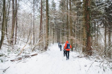 Karlı yolda yürüyüş yapan sırt çantalı yürüyüşçüler. Kış günü birlikte yürüyen bir grup insan. Arka plan.