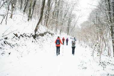 Karlı yolda yürüyüş yapan sırt çantalı yürüyüşçüler. Kış günü birlikte yürüyen bir grup insan. Arka plan.