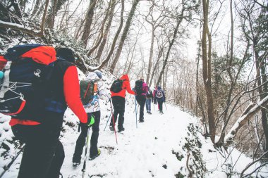 Karlı yolda yürüyüş yapan sırt çantalı yürüyüşçüler. Kış günü birlikte yürüyen bir grup insan. Arka plan.