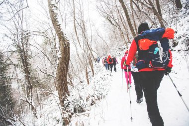 Karlı yolda yürüyüş yapan sırt çantalı yürüyüşçüler. Kış günü birlikte yürüyen bir grup insan. Arka plan.
