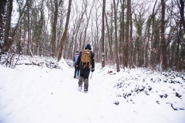 Karlı yolda yürüyüş yapan sırt çantalı yürüyüşçüler. Kış günü birlikte yürüyen bir grup insan. Arka plan.