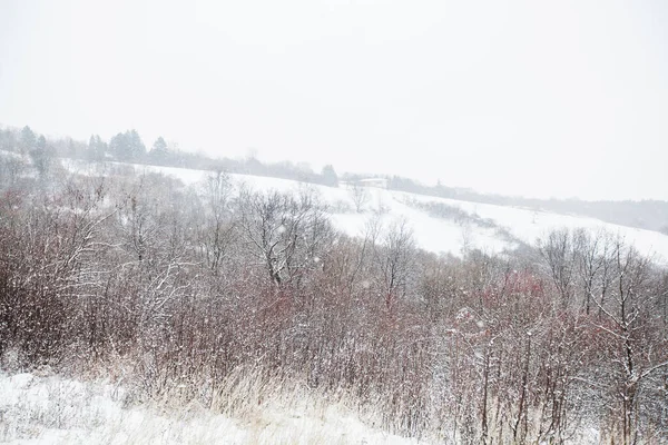 Χειμωνιάτικο Τοπίο Χιονάτη Μέρα Στη Φύση Φυσικό Τοπίο Της Φρούσκα — Φωτογραφία Αρχείου