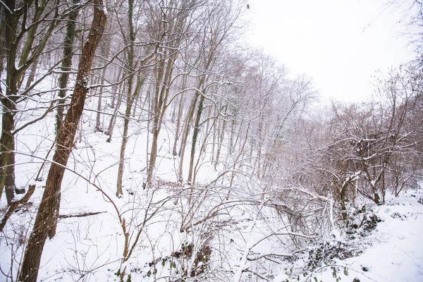 Χειμωνιάτικο Τοπίο Χιονάτη Μέρα Στη Φύση Φυσικό Τοπίο Της Φρούσκα — Φωτογραφία Αρχείου