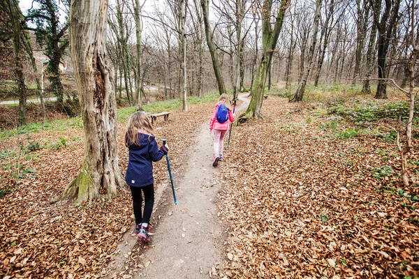 Pequenas Garotas Caminhando Pela Floresta Outono Luz Dia — Fotografia de Stock