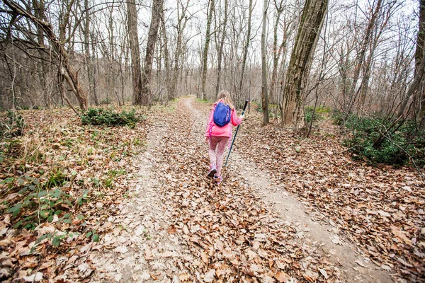 Pequenas Garotas Caminhando Pela Floresta Outono Luz Dia — Fotografia de Stock