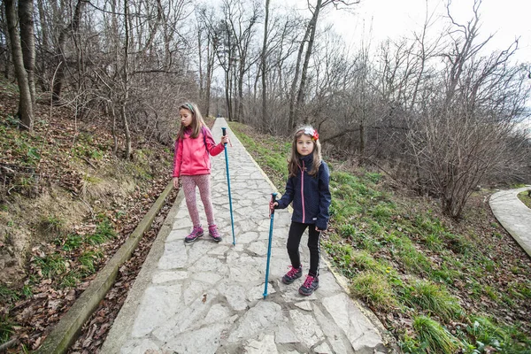 Pequenas Garotas Caminhando Pela Floresta Outono Luz Dia — Fotografia de Stock