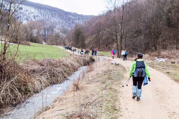 Wandelen Reizen Gezonde Levensstijl Groep Actieve Mensen Met Rugzak Wandelen — Stockfoto