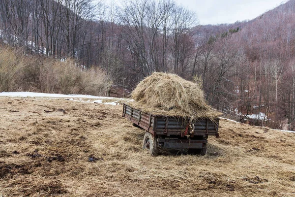 Сільський Пейзаж Солом Яний Сіно Тракторі Полях Весняний Час — стокове фото