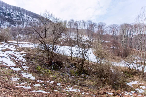 Primi Giorni Primavera Neve Che Scioglie Torrente Forestale Paesaggio Naturale — Foto Stock