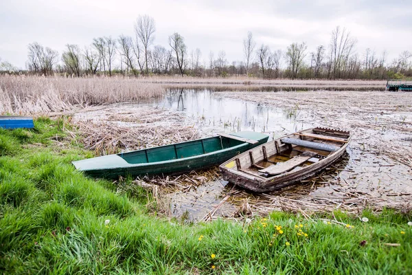 在湖边划船的旧木船 美丽的自然景观 自然保护区 春天的一天塞尔维亚 — 图库照片