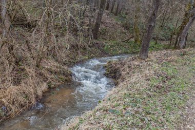 Güzel Doğa Manzarası. Baharın ilk saatlerinde. Doğanın rahatlatıcı görüntüsü.