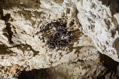 Yeraltı mağarası, inanılmaz bir manzara, yer altındaki sarkıt ve dikit manzarası, içerideki düzen..