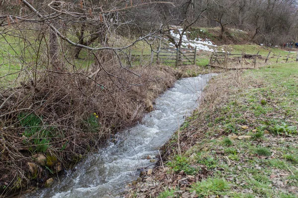 Güzel Doğa Manzarası Baharın Ilk Saatlerinde Doğanın Rahatlatıcı Görüntüsü — Stok fotoğraf