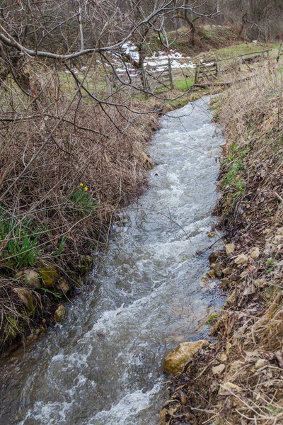 Güzel Doğa Manzarası Baharın Ilk Saatlerinde Doğanın Rahatlatıcı Görüntüsü — Stok fotoğraf