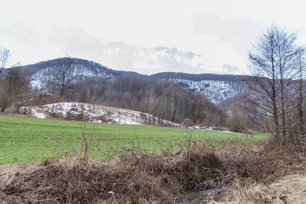 Prachtig Natuurlandschap Vroeg Lente Ontspannende Kijk Natuur — Stockfoto