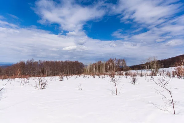 Nature Landscape. Winter daylight. Mountain range in eastern Serbia. Homolje Mountains