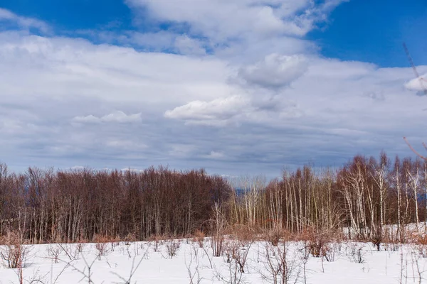 Nature Landscape. Winter daylight. Mountain range in eastern Serbia. Homolje Mountains