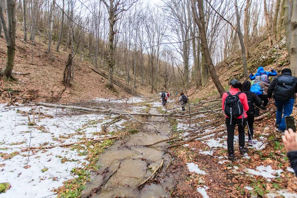 Grupo Caminhantes Caminhando Trilha Caminhada Dia Inverno Neve — Fotografia de Stock