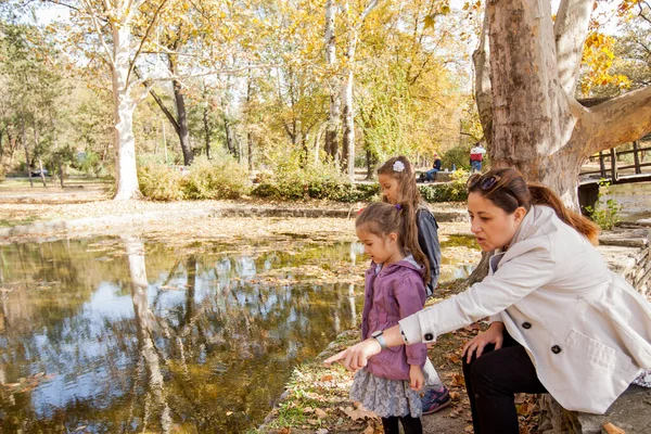 Familie Entspannen Herbstlichen Park See Einem Schönen Tag Reflexion Der — Stockfoto