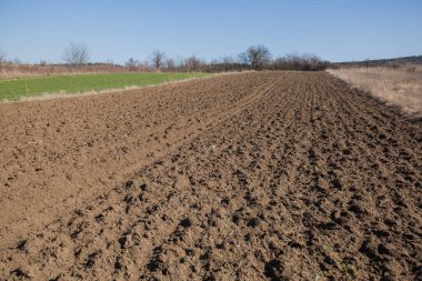 Pürüzlü tarlanın kırsal arazisi güneşli bahar günü.