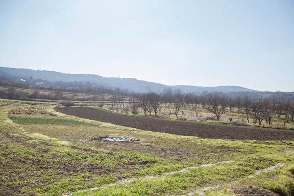 Paysage Rural Naturel Belle Journée Printemps Campagne — Photo