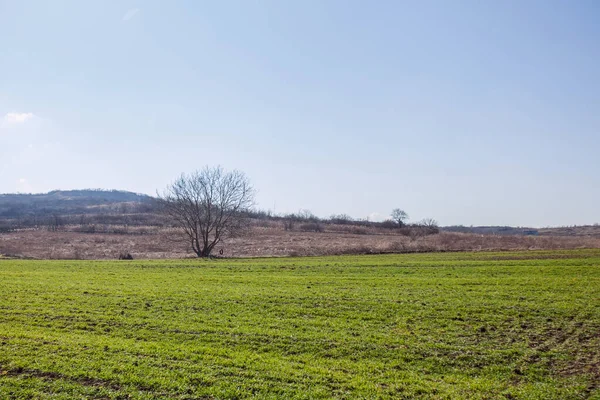 Natureza Rural Paisagem Belo Dia Primavera Área Rural — Fotografia de Stock