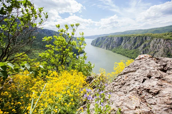 Vista Panoramica Forra Incredibile Sul Fiume Danubio Visto Dal Punto — Foto Stock