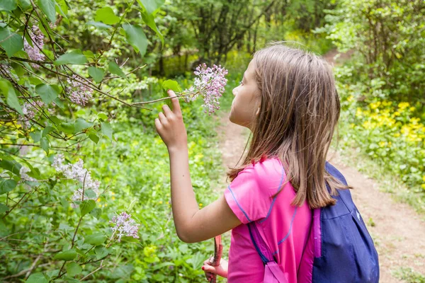 Little Girl Smells Spring Flowers Beautiful Sunny Day Nature — 스톡 사진