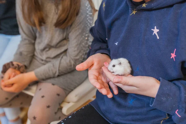 Cute Biały Mysz Dzieci Palm — Zdjęcie stockowe