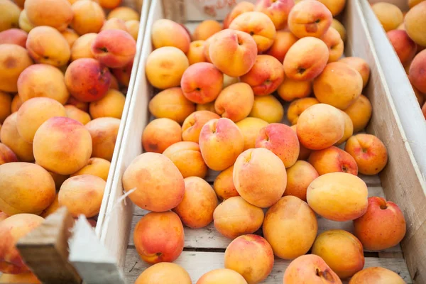 Haufen Frischer Reifer Aprikosen Auf Dem Örtlichen Bauernmarkt Sommerfrucht — Stockfoto