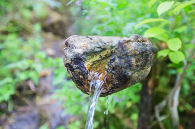 Taze temiz su, su kaynağı, ormandaki ahşap bir kanaldan. Taze, doğal pınarlar. Doğada içme suyu. Yaz günü.