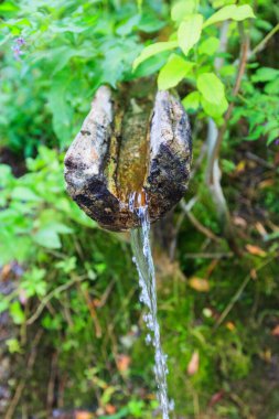 Taze temiz su, su kaynağı, ormandaki ahşap bir kanaldan. Taze, doğal pınarlar. Doğada içme suyu. Yaz günü.