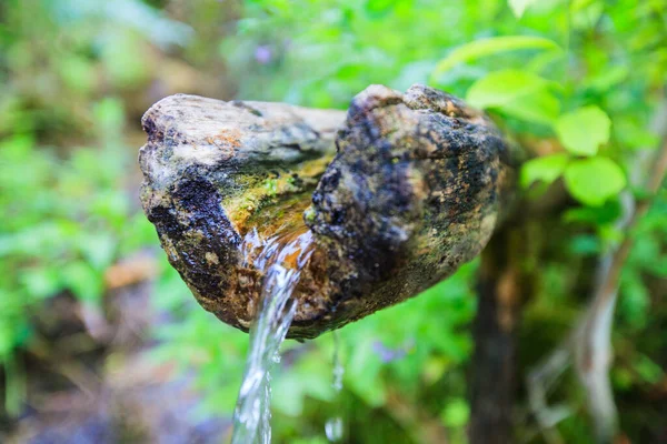 Água Limpa Fresca Fonte Águas Canal Madeira Floresta Frescura Molas — Fotografia de Stock