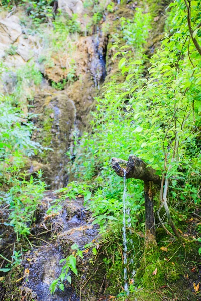 Свіжа Чиста Вода Джерело Води Дерев Яного Каналу Лісі Свіжі — стокове фото