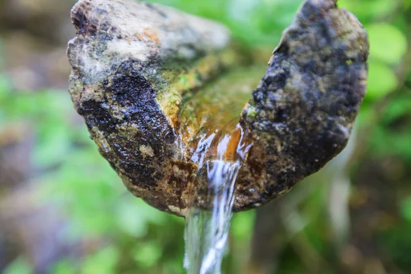 来自森林中的一条木制渠道 新鲜的天然泉水 大自然中的饮水 — 图库照片