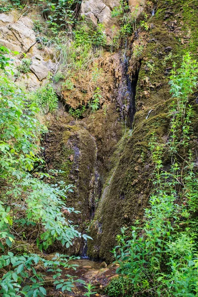 Frisches Sauberes Wasser Quelle Des Wassers Aus Felsen Wald Frische — Stockfoto