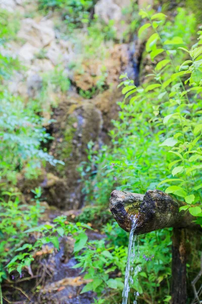 Acqua Dolce Pulita Fonte Acqua Canale Legno Nella Foresta Freschezza — Foto Stock