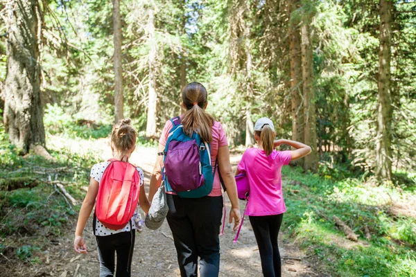 Familiewandeling Het Bos Zomerdag Avontuur Natuur — Stockfoto