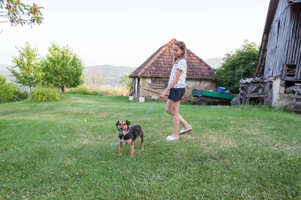 Bambina Con Cane Domestico Cortile Nel Villaggio Giorno Estate — Foto Stock