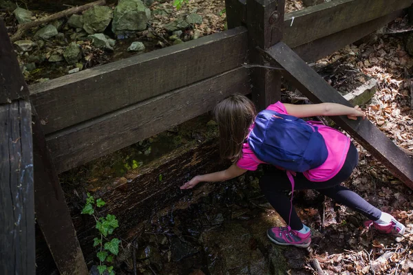 Meisje Wandelaar Verfrissen Door Water Van Bos Kreek — Stockfoto