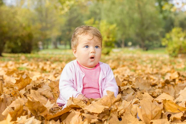 Bebek sonbahar yapraklarıyla oynuyor. — Stok fotoğraf