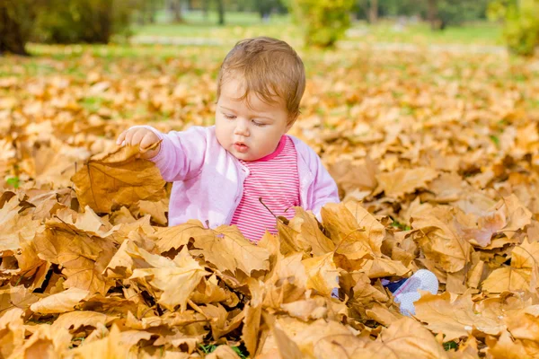 Baby spielt mit Herbstblättern — Stockfoto