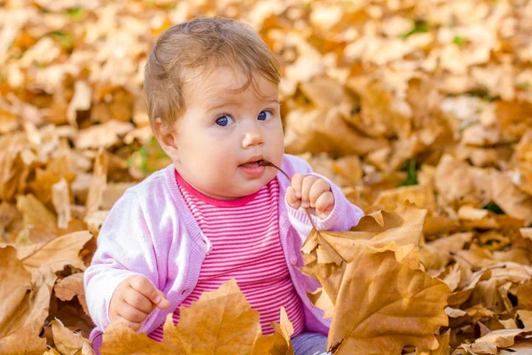 가을 나뭇잎가지고 노는 아기 — 스톡 사진