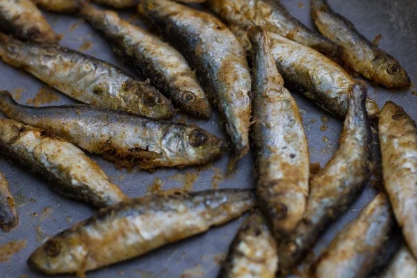 Peixe pequeno frito — Fotografia de Stock