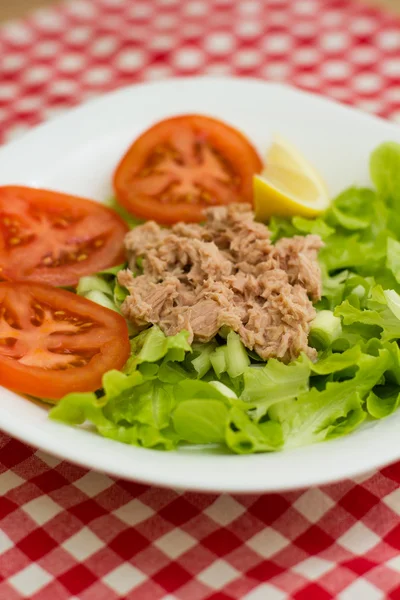 Carne de atún sobre ensalada verde — Foto de Stock