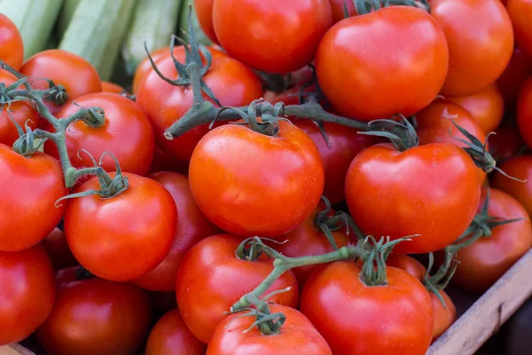 Tomates vermelhos frescos maduros — Fotografia de Stock
