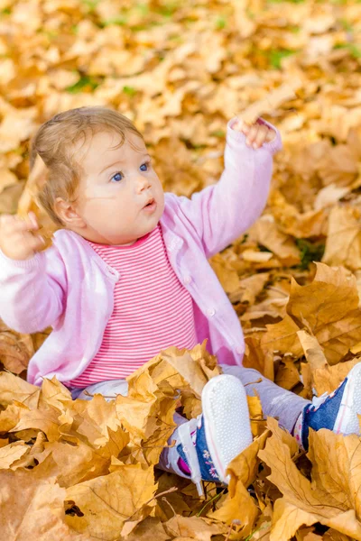 Baba játszik őszi levelek — Stock Fotó